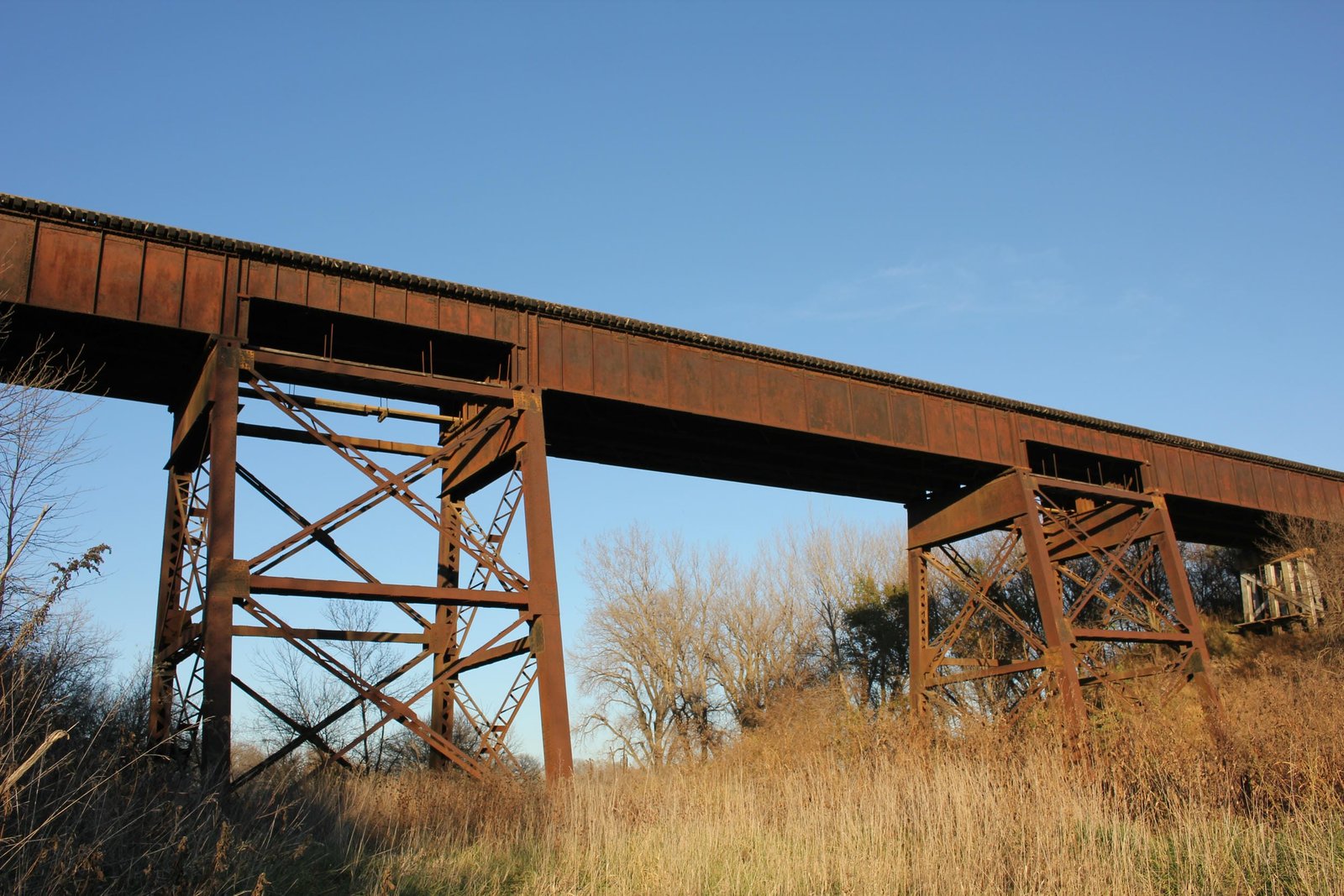 Center span (span #4)